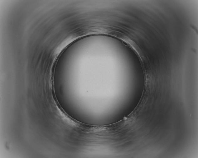 X0000103471143200809191829