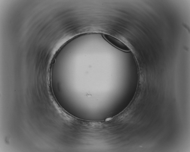 X0000103471144200809191829