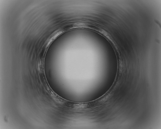 X0000103471145200809191829