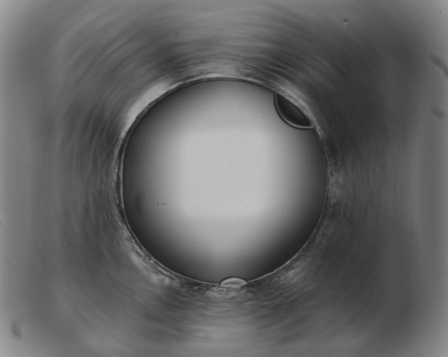 X0000103471146200809191829