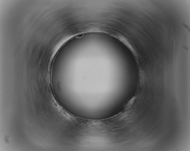 X0000103471148200809191829