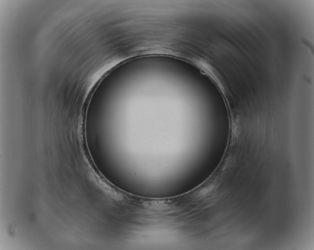 X0000103471149200809191829