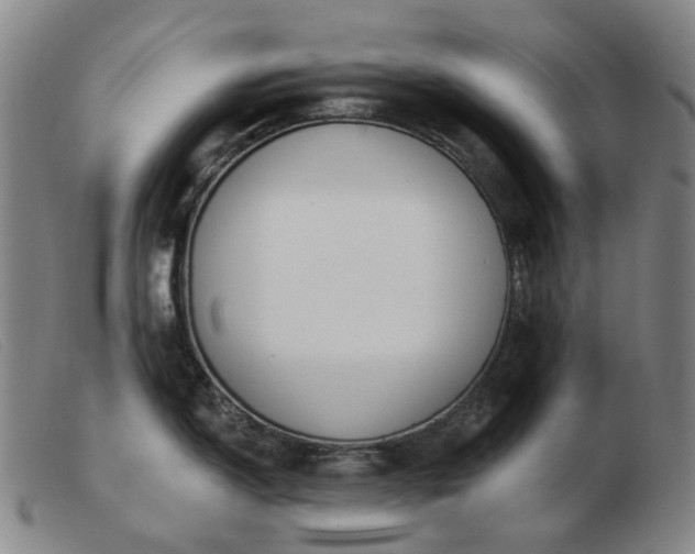 X0000103471150200809191829