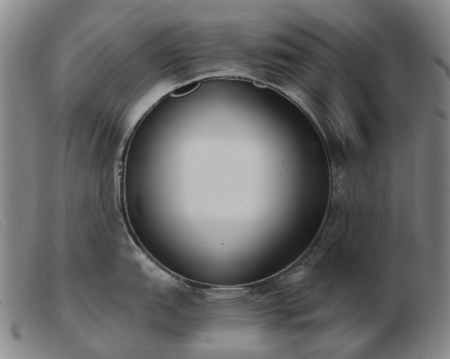 X0000103471151200809191829