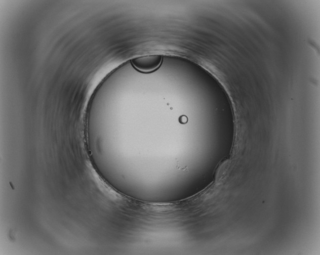 X0000103471152200809191829