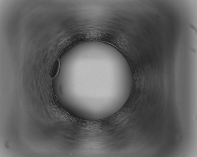 X0000103471153200809191829