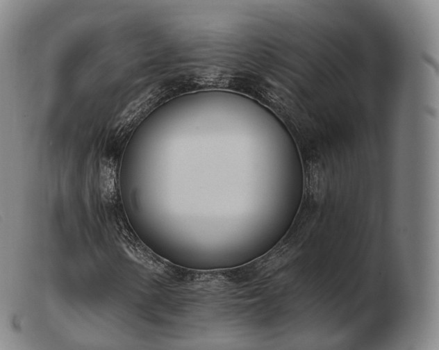 X0000103471154200809191829