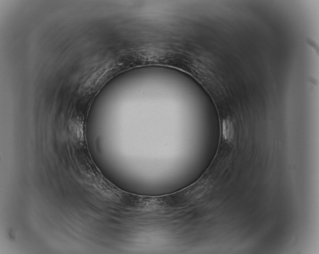 X0000103471155200809191829