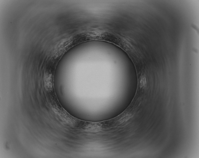 X0000103471156200809191829