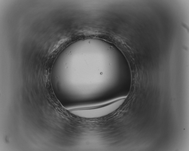 X0000103471157200809191829