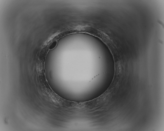 X0000103471158200809191829