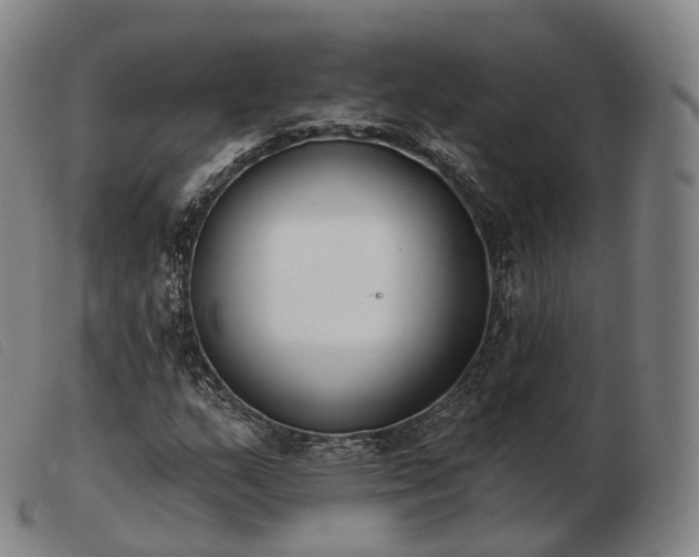 X0000103471159200809191829