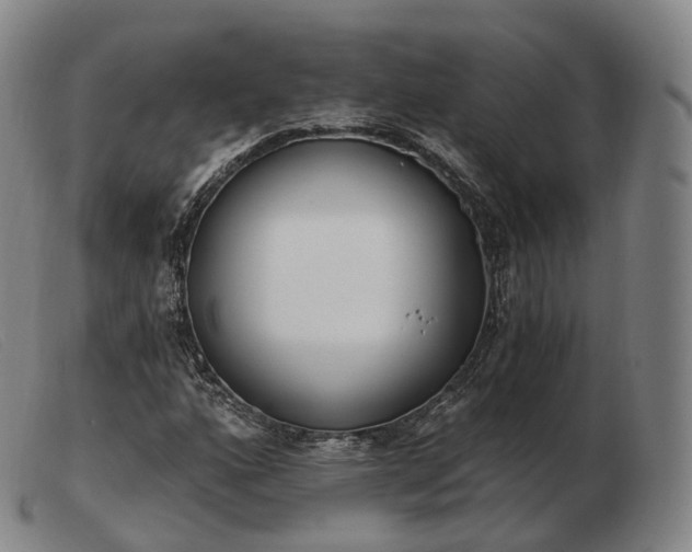 X0000103471160200809191829