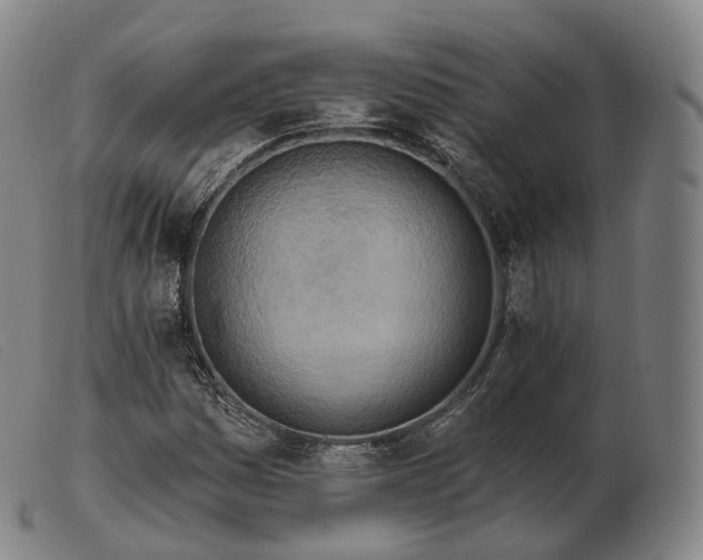 X0000103471161200809191829