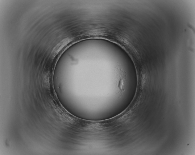 X0000103471162200809191829