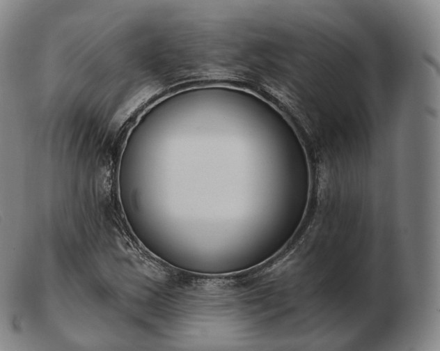 X0000103471163200809191829