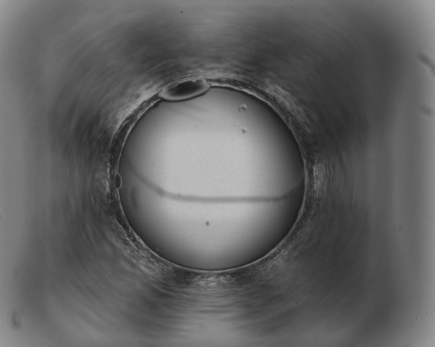 X0000103471165200809191829