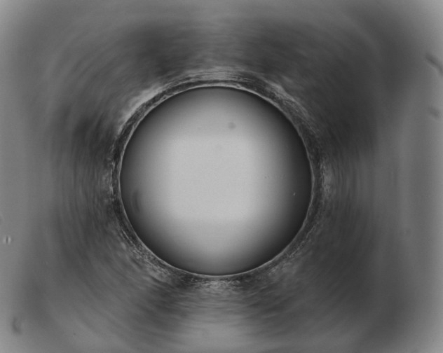 X0000103471166200809191829