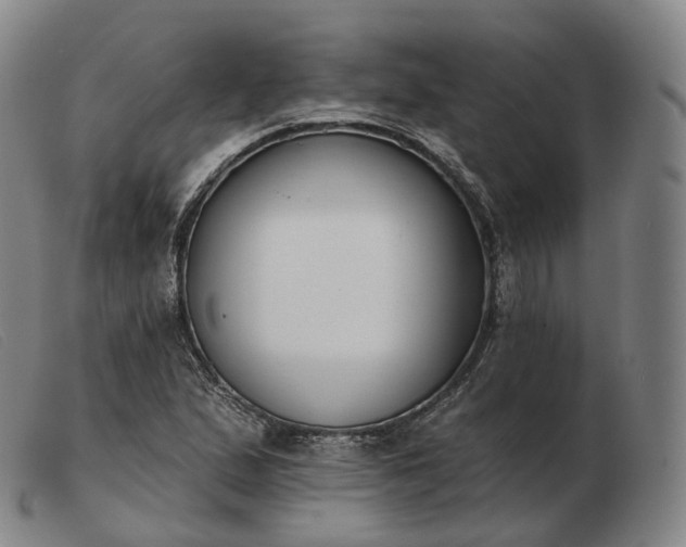 X0000103471167200809191829