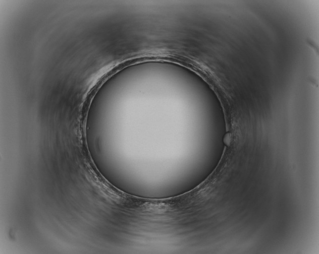 X0000103471168200809191829