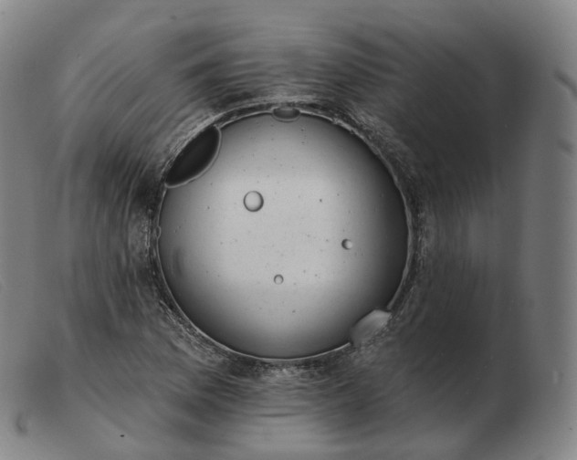 X0000103471169200809191828