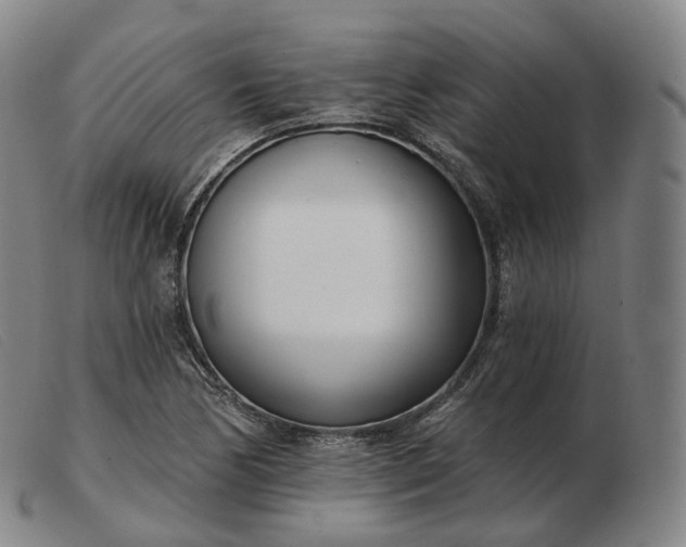 X0000103471170200809191828