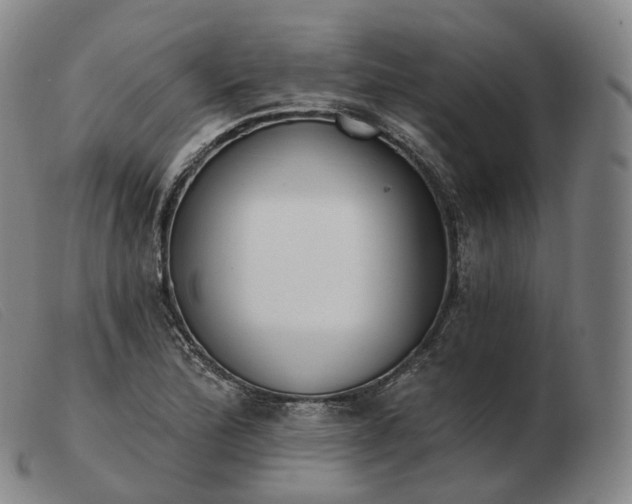 X0000103471172200809191828