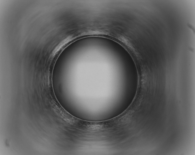 X0000103471173200809191828