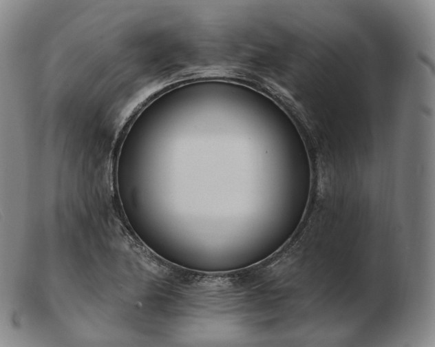 X0000103471174200809191828