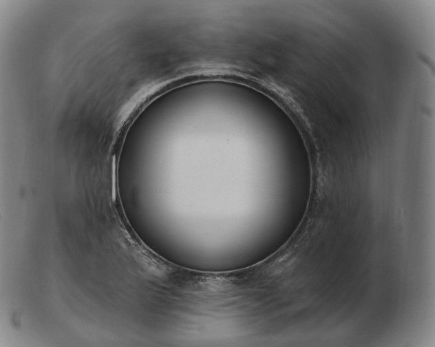 X0000103471175200809191828