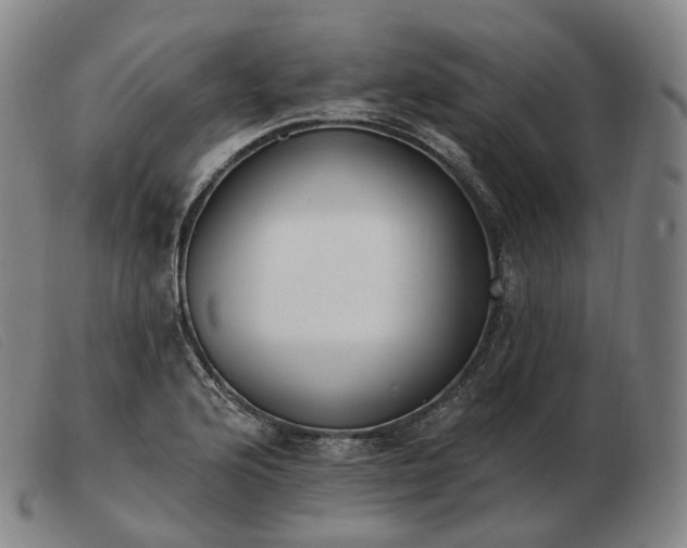 X0000103471176200809191828