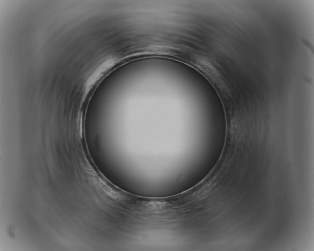 X0000103471180200809191828