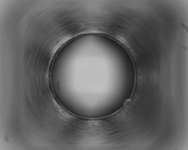 X0000103471181200809191828