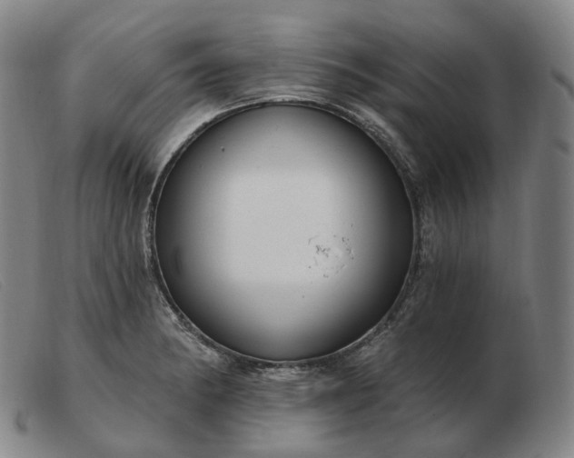 X0000103471182200809191828