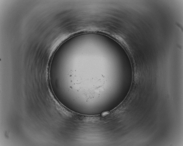 X0000103471183200809191828