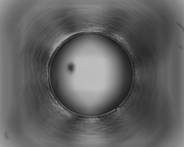 X0000103471184200809191828