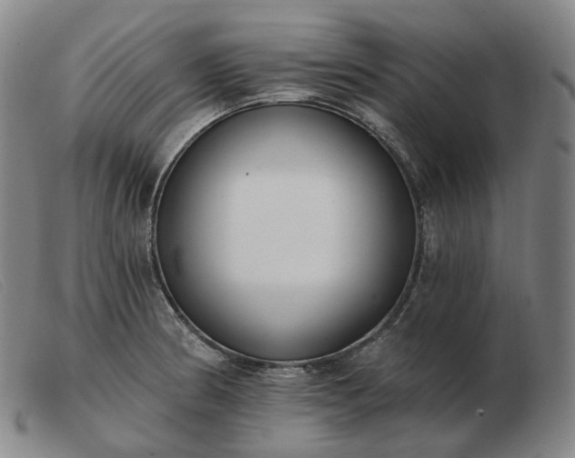 X0000103471186200809191828