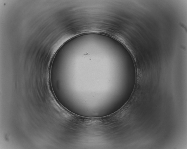 X0000103471187200809191828