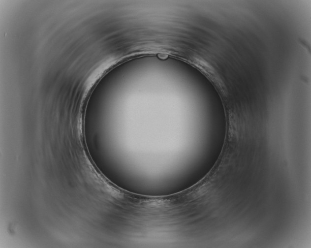 X0000103471188200809191828