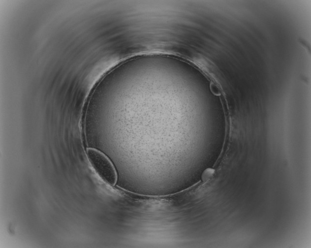 X0000103471189200809191828