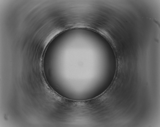 X0000103471190200809191828