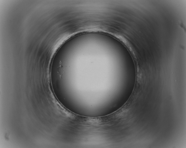 X0000103471191200809191828