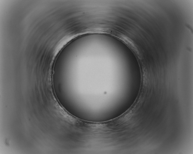 X0000103471192200809191828