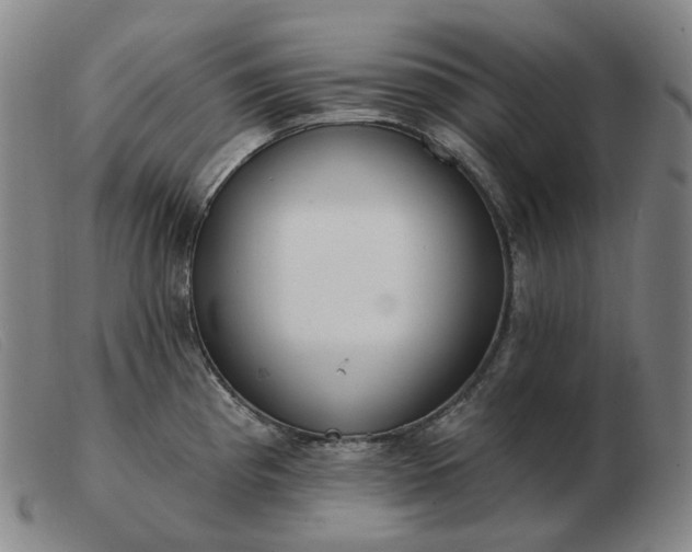 X0000103471193200809191828