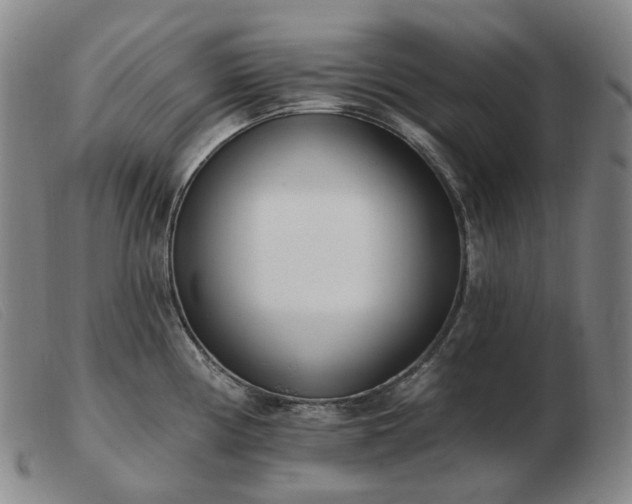 X0000103471194200809191828