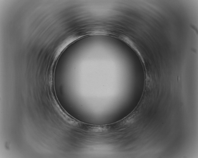 X0000103471195200809191828