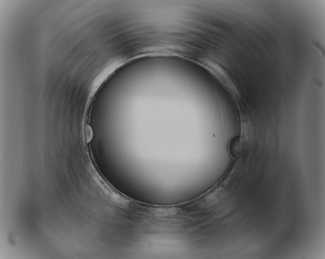 X0000103471196200809191828