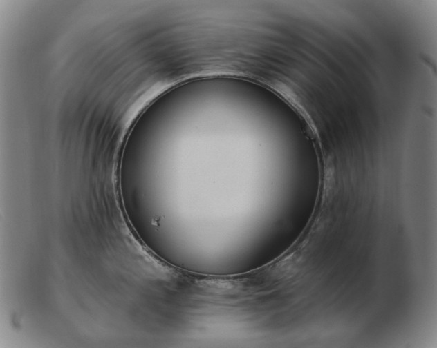 X0000103471197200809191828