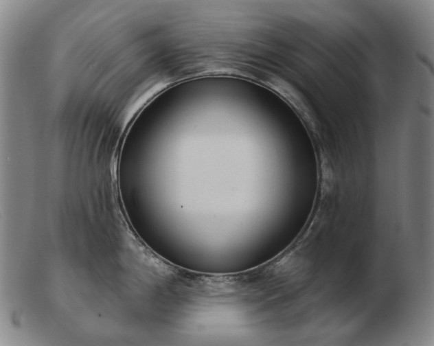 X0000103471198200809191828