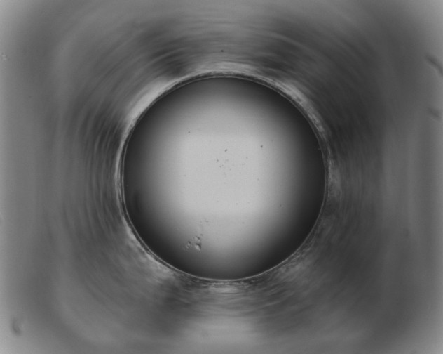 X0000103471199200809191828